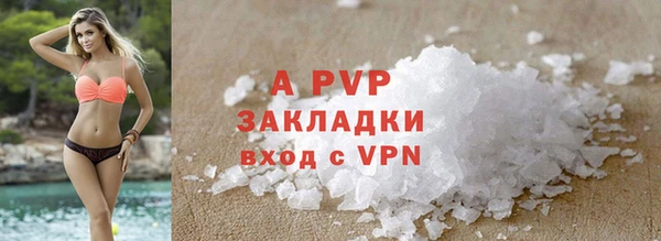 хмурый Алзамай