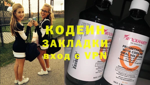 хмурый Алзамай