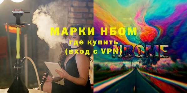 хмурый Алзамай